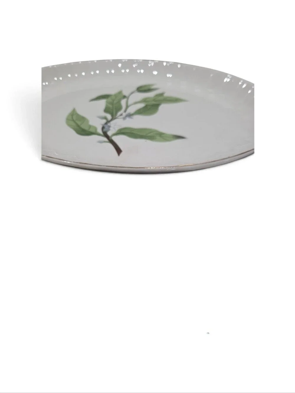 Vintage W.S George Bolero White Dinner Platters with Green Botanical Leaf Design